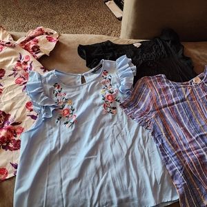 Sz large blouse bundle